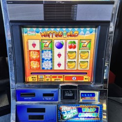 "Whipping Wild Slot Machine - Exciting Casino Fun!"