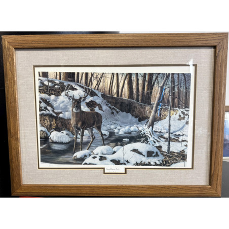 "River Bottom Buck Framed Art Print - Limited Edition"