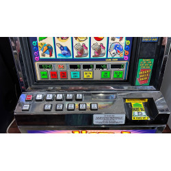 Reel 'em In! Slot Machine - Cast for Cash Fun