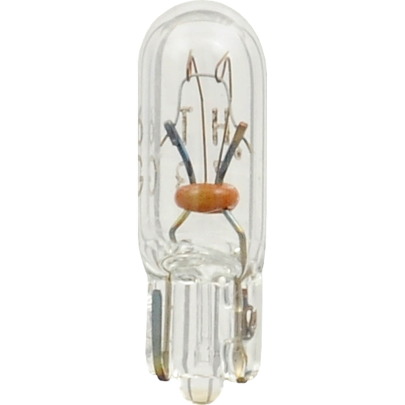 #73 Bulb