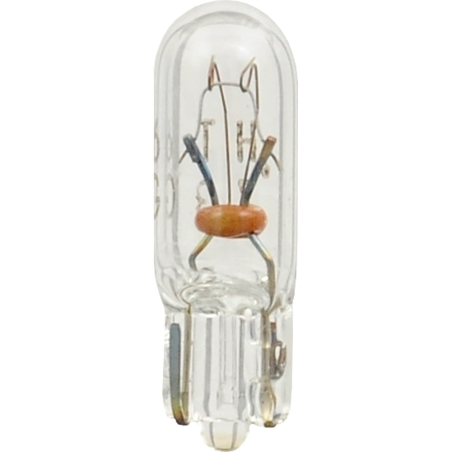 #73 Bulb