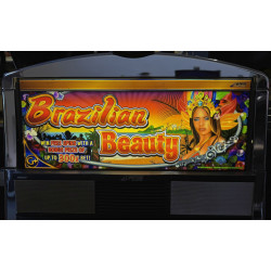Brazilian Beauty Slot Machine by WMS Gaming – Casino Game