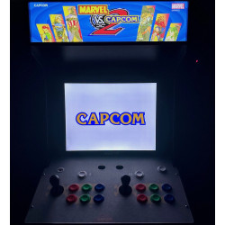 Marvel vs. Capcom 2
