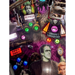 The Munsters Pro by Stern