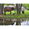 Elephant Garden Sculptures | Monumental Copper & Stone Outdoor Art Pair