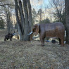 Elephant Garden Sculptures | Monumental Copper & Stone Outdoor Art Pair