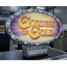 IGT S-2000 I-Game I-Plus Goddess of Gold Slot Machine Topper